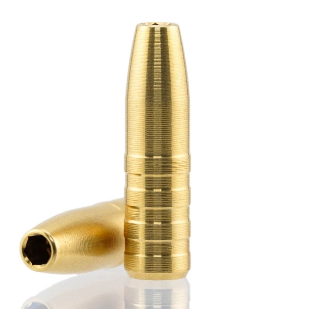 .224 55gr FB Raptor