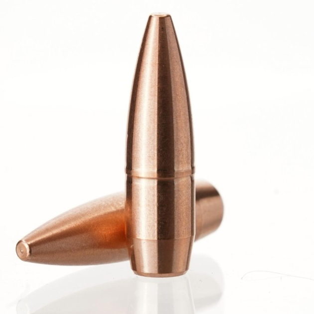 .224 55gr MTAC (Match/Tactical)